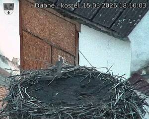 Capi_Dubne_20260315_181003.jpg (1350&nbsp;x&nbsp;1080)