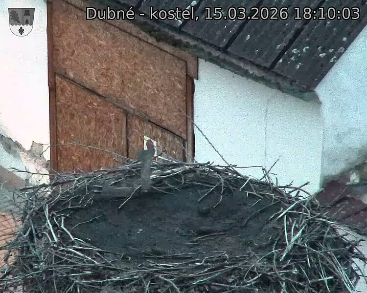 Capi_Dubne_20260315_181003.jpg (1350&nbsp;x&nbsp;1080)