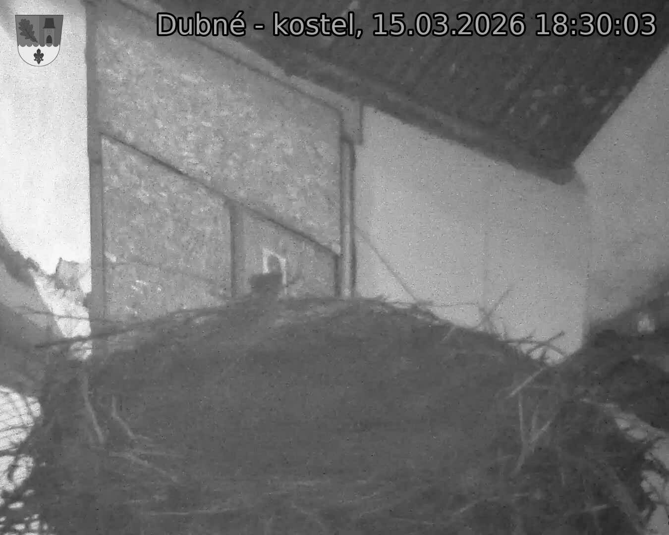 Capi_Dubne_20260315_183003.jpg (1350&nbsp;x&nbsp;1080)