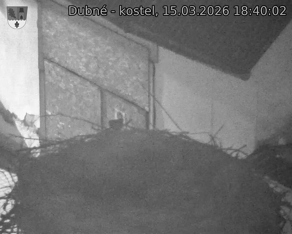 Capi_Dubne_20260315_184002.jpg (1350&nbsp;x&nbsp;1080)