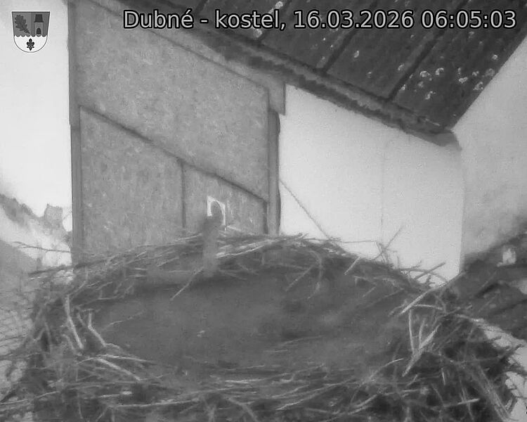 Capi_Dubne_20260316_060503.jpg (1350&nbsp;x&nbsp;1080)