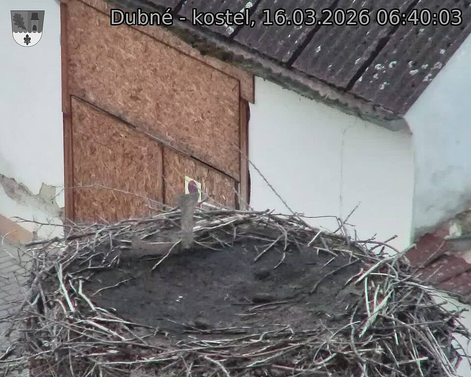 Capi_Dubne_20260316_064003.jpg (1350&nbsp;x&nbsp;1080)