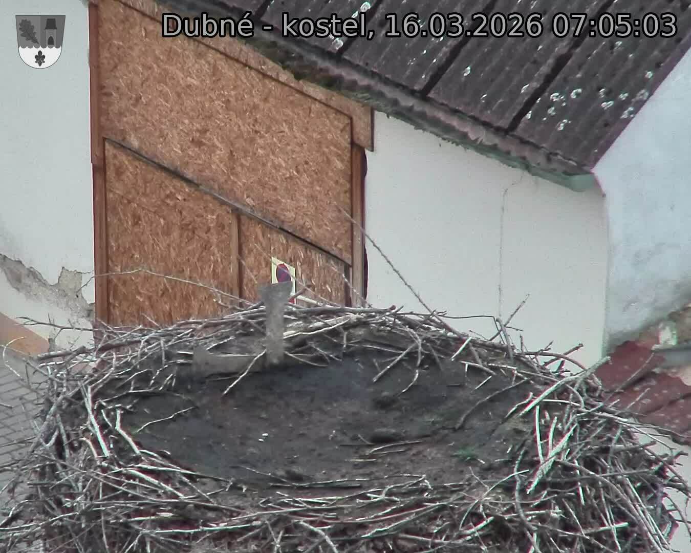 Capi_Dubne_20260316_070503.jpg (1350&nbsp;x&nbsp;1080)