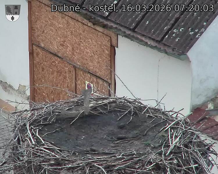 Capi_Dubne_20260316_072003.jpg (1350&nbsp;x&nbsp;1080)
