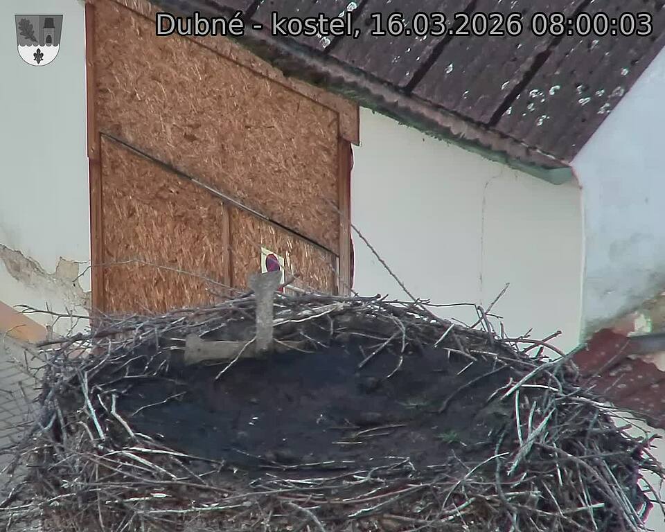 Capi_Dubne_20260316_080003.jpg (1350&nbsp;x&nbsp;1080)
