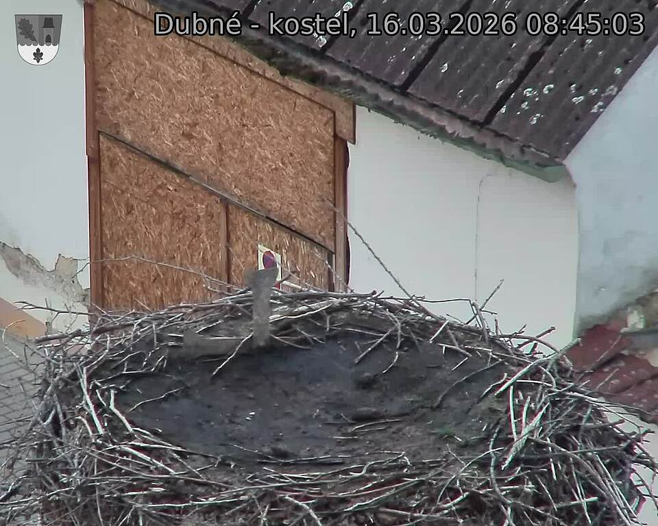 Capi_Dubne_20260316_084503.jpg (1350&nbsp;x&nbsp;1080)