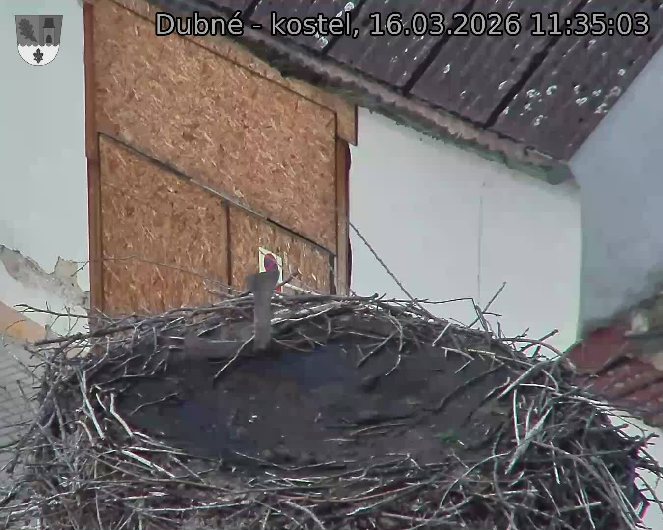 Capi_Dubne_20260316_113503.jpg (1350&nbsp;x&nbsp;1080)