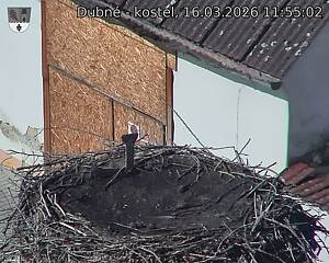 Capi_Dubne_20260316_115502.jpg (1350&nbsp;x&nbsp;1080)