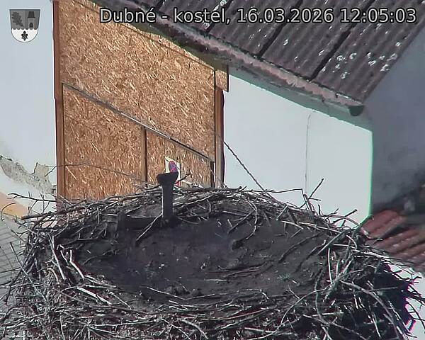 Capi_Dubne_20260316_120503.jpg (1350&nbsp;x&nbsp;1080)