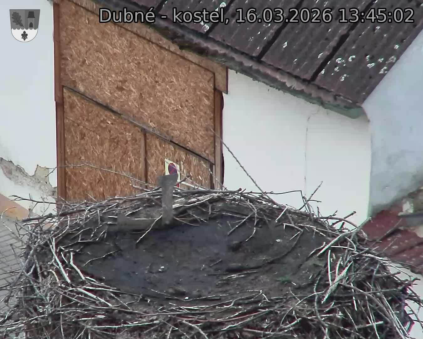 Capi_Dubne_20260316_134502.jpg (1350&nbsp;x&nbsp;1080)