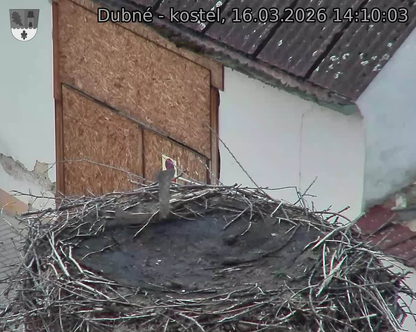 Capi_Dubne_20260316_141003.jpg (1350&nbsp;x&nbsp;1080)