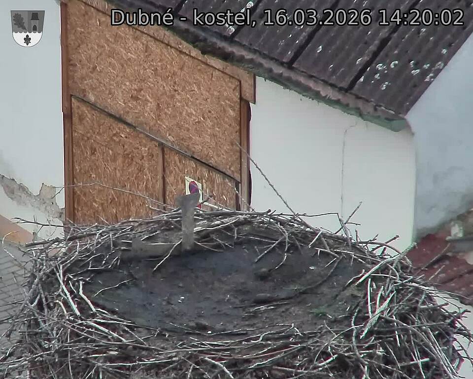 Capi_Dubne_20260316_142002.jpg (1350&nbsp;x&nbsp;1080)