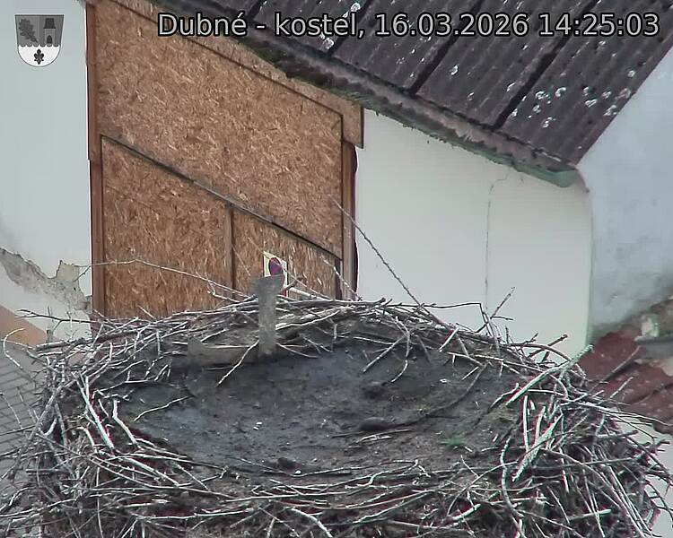 Capi_Dubne_20260316_142503.jpg (1350&nbsp;x&nbsp;1080)