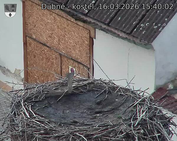 Capi_Dubne_20260316_154002.jpg (1350&nbsp;x&nbsp;1080)