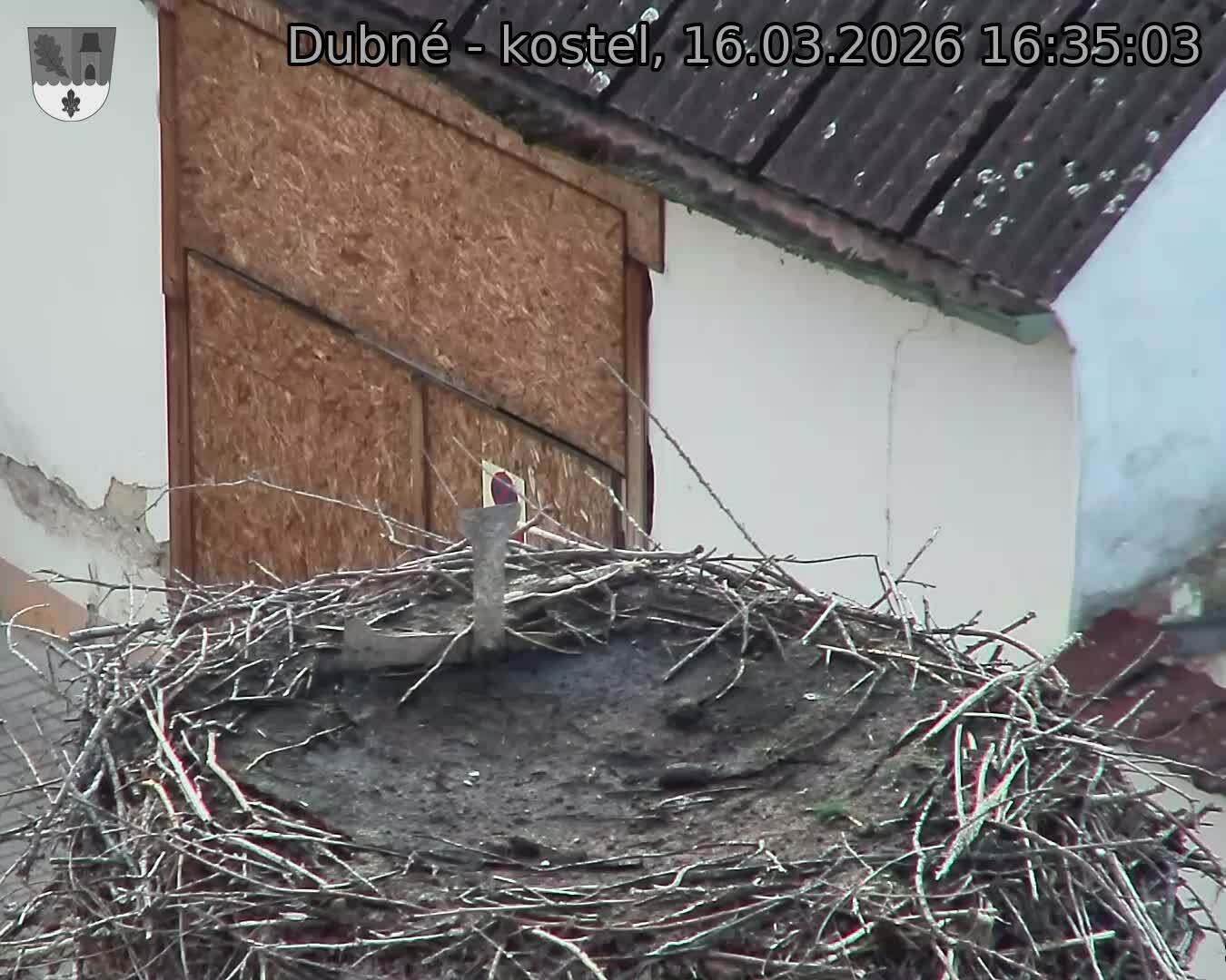 Capi_Dubne_20260316_163503.jpg (1350&nbsp;x&nbsp;1080)