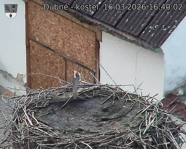 Capi_Dubne_20260316_164002.jpg (1350&nbsp;x&nbsp;1080)
