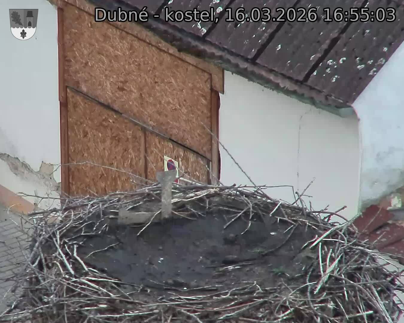 Capi_Dubne_20260316_165503.jpg (1350&nbsp;x&nbsp;1080)
