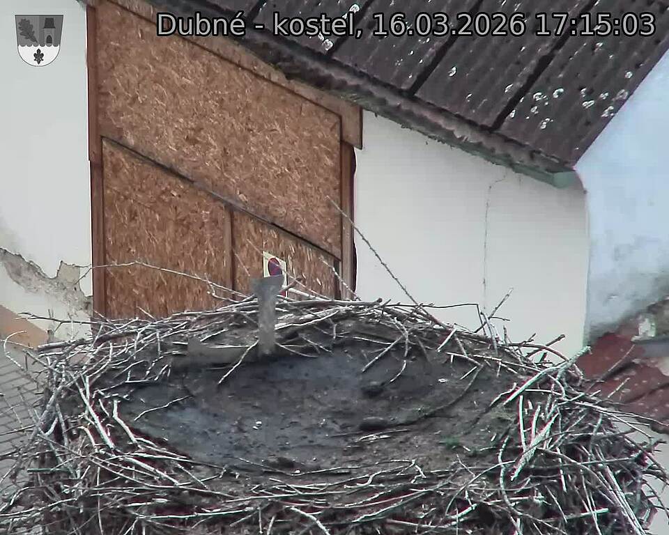 Capi_Dubne_20260316_171503.jpg (1350&nbsp;x&nbsp;1080)