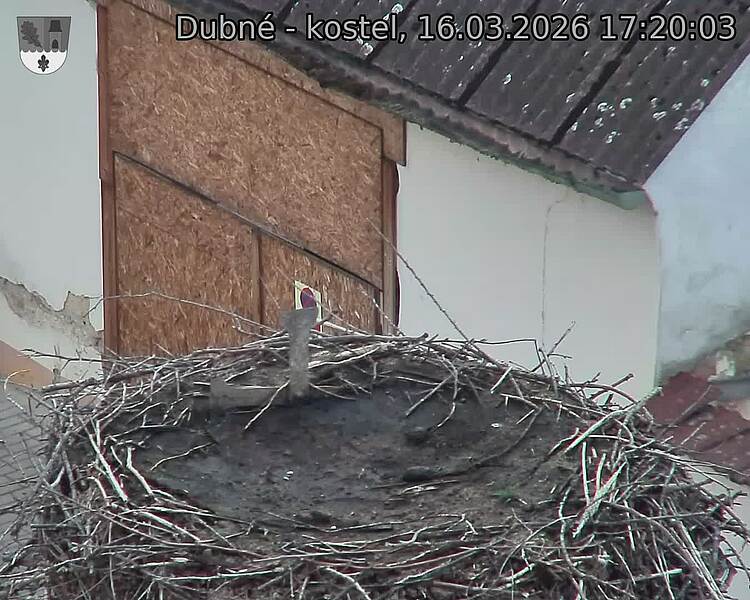 Capi_Dubne_20260316_172003.jpg (1350&nbsp;x&nbsp;1080)