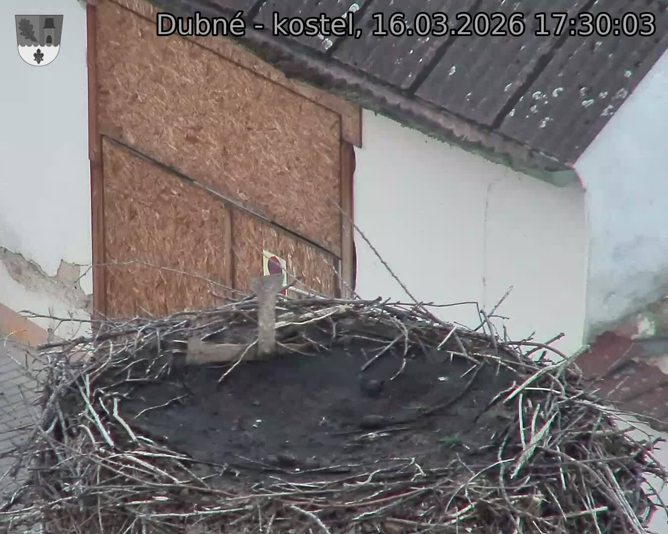 Capi_Dubne_20260316_173003.jpg (1350&nbsp;x&nbsp;1080)