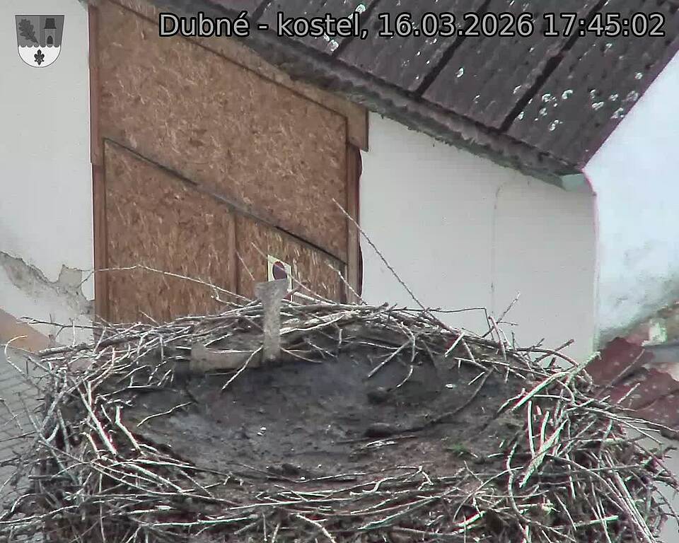 Capi_Dubne_20260316_174502.jpg (1350&nbsp;x&nbsp;1080)