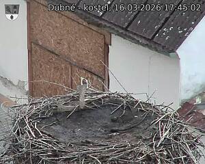 Capi_Dubne_20260316_174502.jpg (1350&nbsp;x&nbsp;1080)