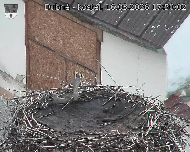Capi_Dubne_20260316_175002.jpg (1350&nbsp;x&nbsp;1080)