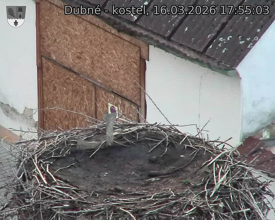 Capi_Dubne_20260316_175503.jpg (1350&nbsp;x&nbsp;1080)