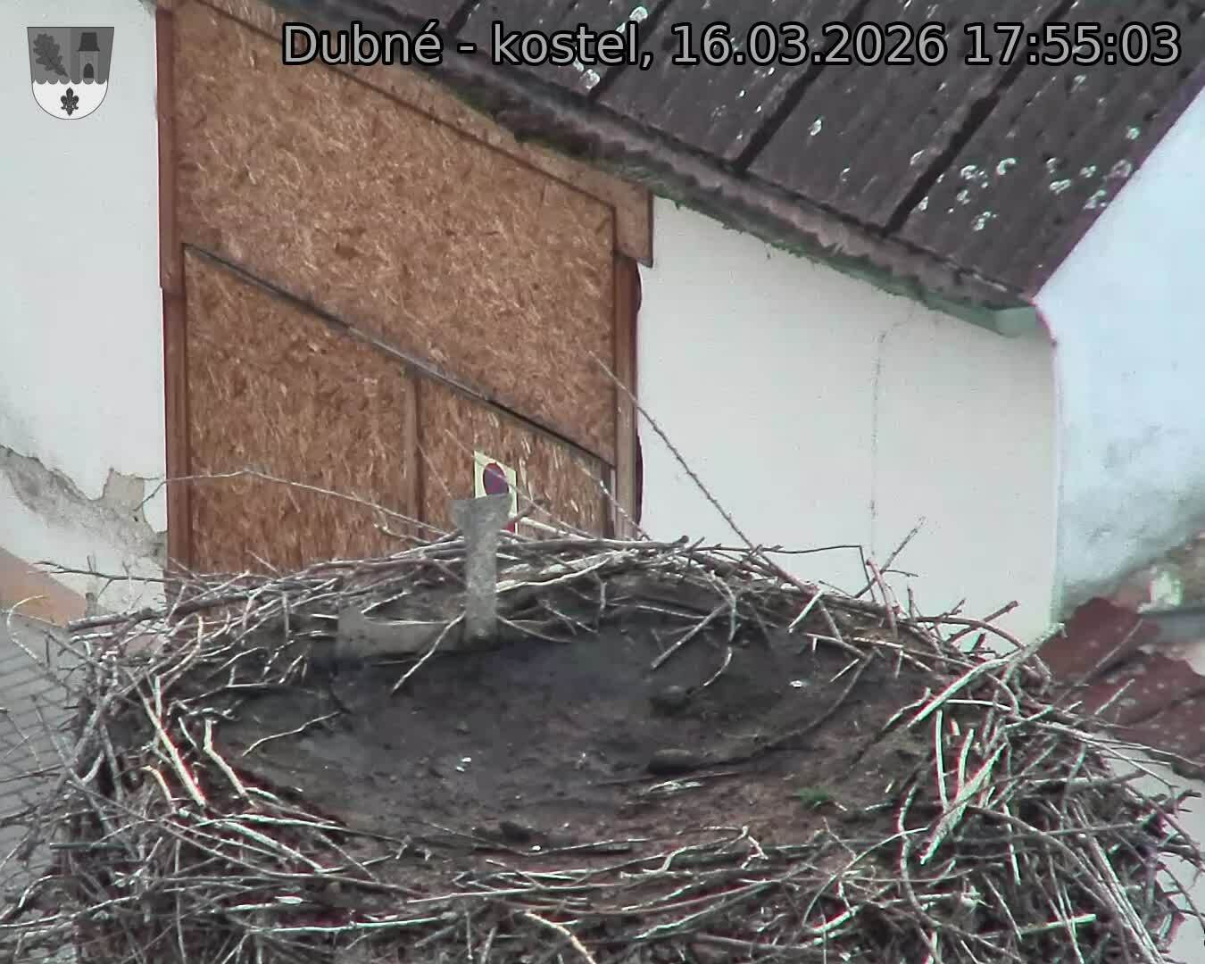 Capi_Dubne_20260316_175503.jpg (1350&nbsp;x&nbsp;1080)