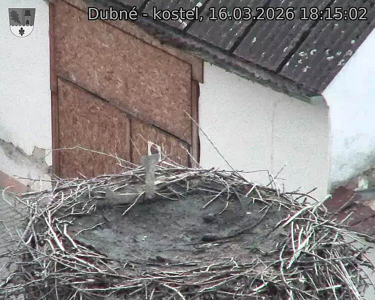 Capi_Dubne_20260316_181503.jpg (1350&nbsp;x&nbsp;1080)