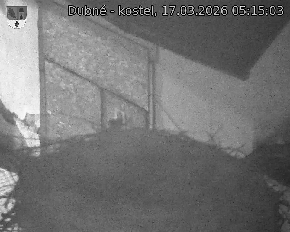 Capi_Dubne_20260317_051503.jpg (1350&nbsp;x&nbsp;1080)