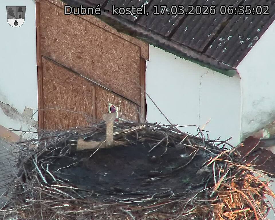 Capi_Dubne_20260317_063502.jpg (1350&nbsp;x&nbsp;1080)