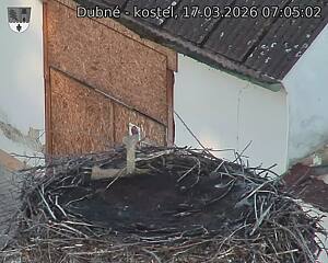 Capi_Dubne_20260317_070502.jpg (1350&nbsp;x&nbsp;1080)