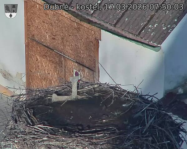 Capi_Dubne_20260317_075003.jpg (1350&nbsp;x&nbsp;1080)