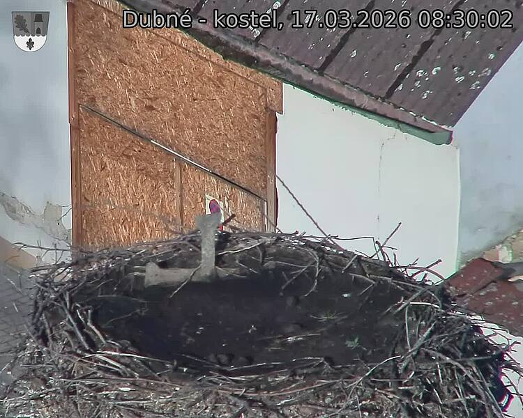 Capi_Dubne_20260317_083002.jpg (1350&nbsp;x&nbsp;1080)