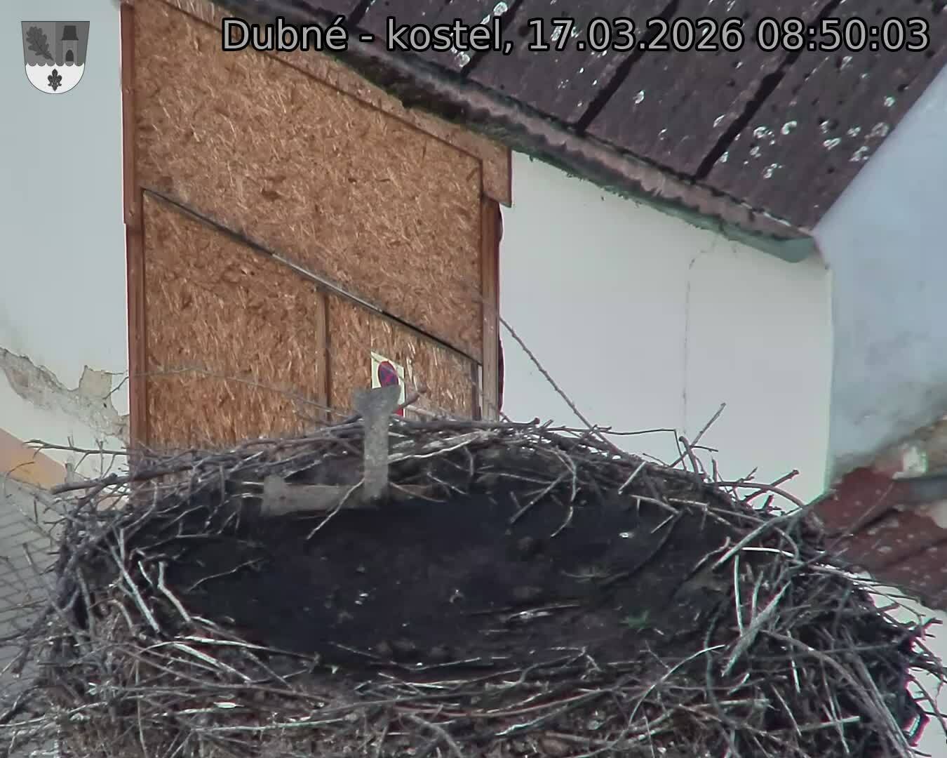 Capi_Dubne_20260317_085003.jpg (1350&nbsp;x&nbsp;1080)