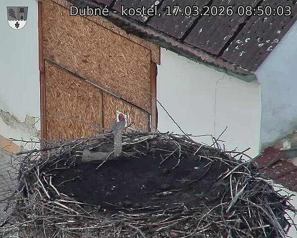 Capi_Dubne_20260317_085003.jpg (1350&nbsp;x&nbsp;1080)