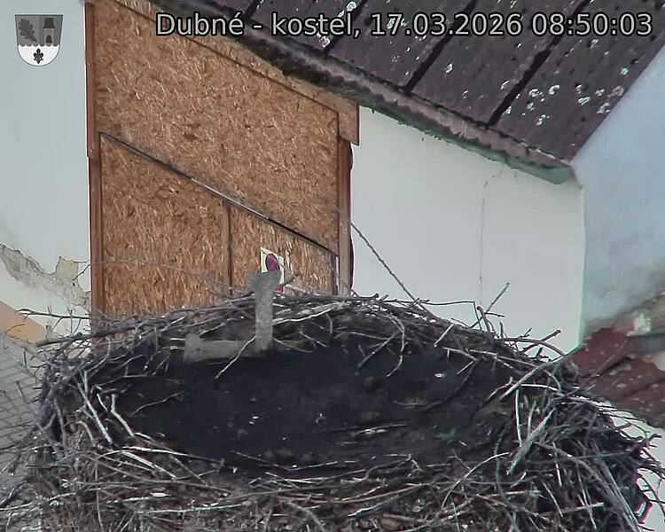 Capi_Dubne_20260317_085003.jpg (1350&nbsp;x&nbsp;1080)