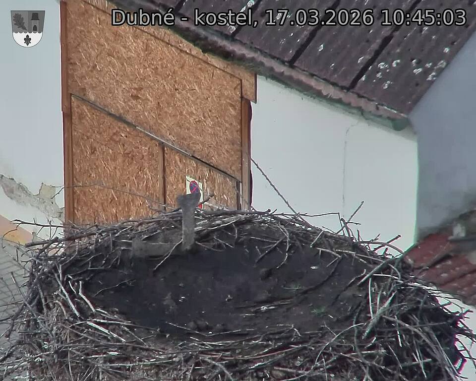 Capi_Dubne_20260317_104503.jpg (1350&nbsp;x&nbsp;1080)