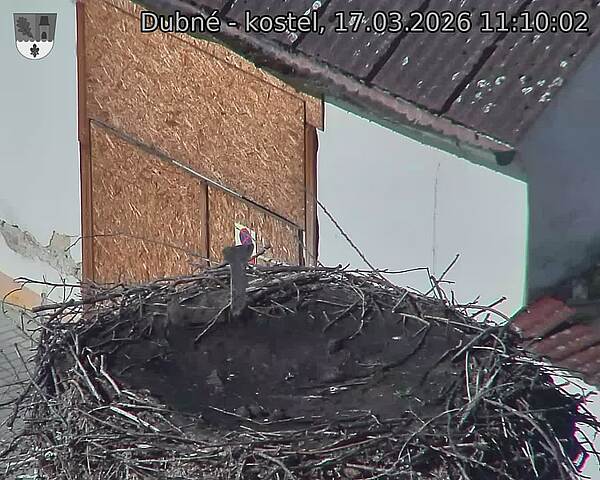 Capi_Dubne_20260317_111002.jpg (1350&nbsp;x&nbsp;1080)