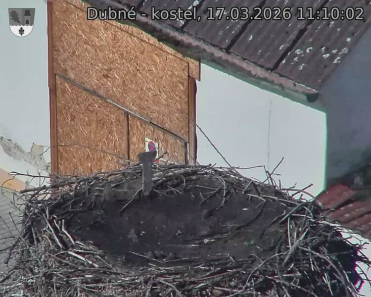 Capi_Dubne_20260317_111002.jpg (1350&nbsp;x&nbsp;1080)