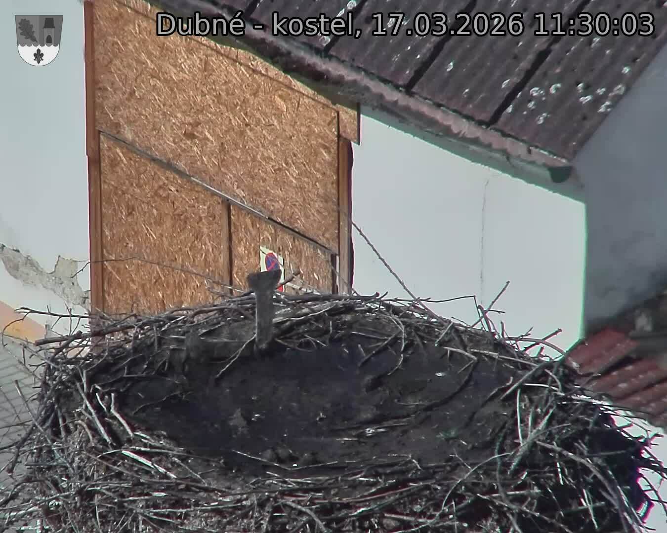 Capi_Dubne_20260317_113003.jpg (1350&nbsp;x&nbsp;1080)