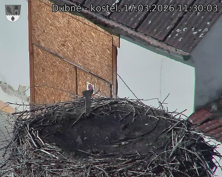 Capi_Dubne_20260317_113003.jpg (1350&nbsp;x&nbsp;1080)