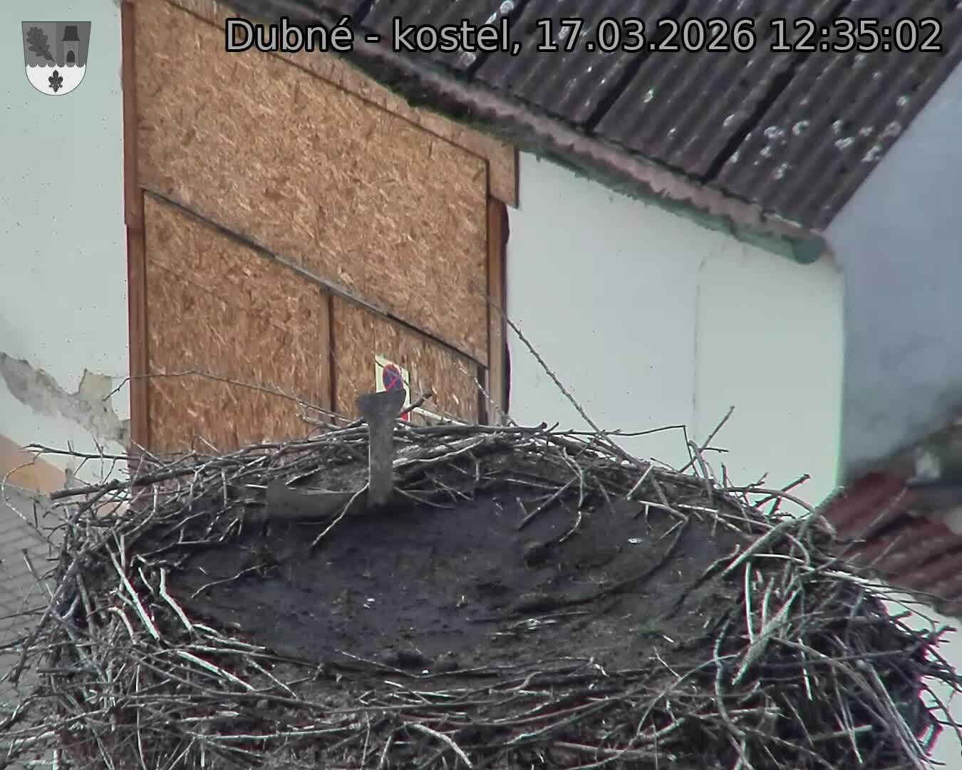 Capi_Dubne_20260317_123502.jpg (1350&nbsp;x&nbsp;1080)