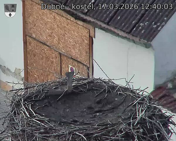 Capi_Dubne_20260317_124003.jpg (1350&nbsp;x&nbsp;1080)