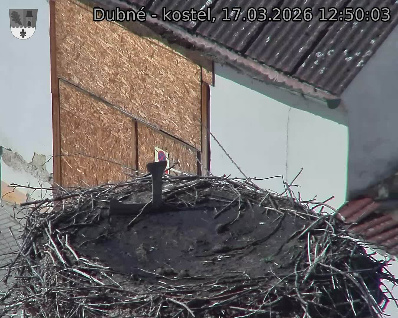 Capi_Dubne_20260317_125003.jpg (1350&nbsp;x&nbsp;1080)