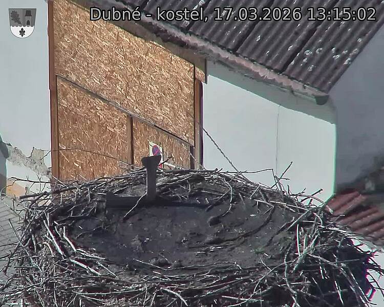 Capi_Dubne_20260317_131502.jpg (1350&nbsp;x&nbsp;1080)