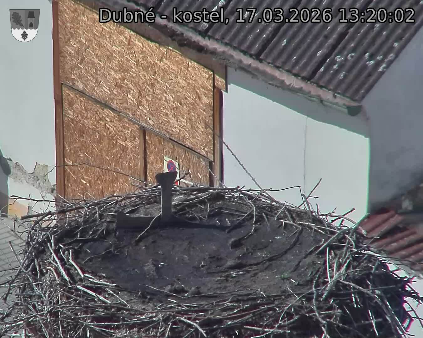 Capi_Dubne_20260317_132002.jpg (1350&nbsp;x&nbsp;1080)