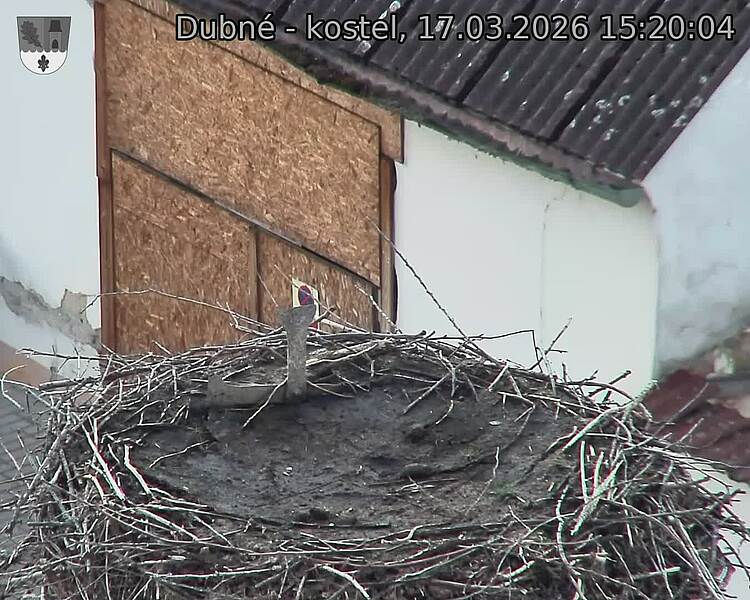Capi_Dubne_20260317_152004.jpg (1350&nbsp;x&nbsp;1080)