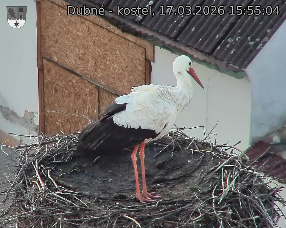 Capi_Dubne_20260317_155504.jpg (1350&nbsp;x&nbsp;1080)